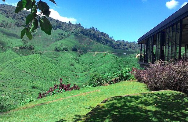 Cameron Highlands 3 Days 2 Night Tours Private (per Vehicle)