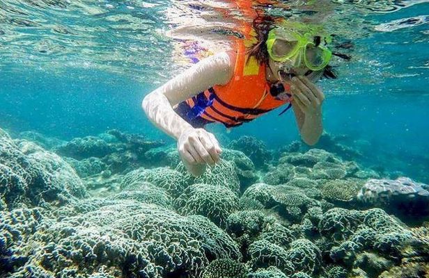 From Mui Ne To Vinh Hy Bay Snorkeling And Fishing Tour | Day Trip
