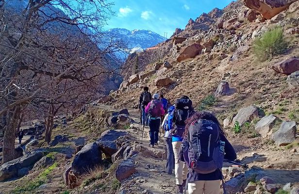 Atlas Mountains Day Trip from Marrakech with Berber Village Hike