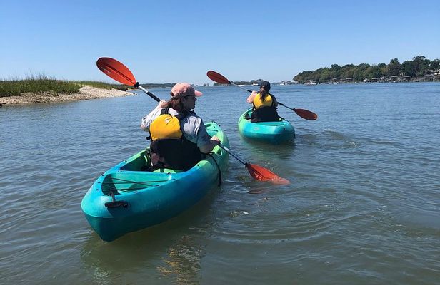 Hilton Head Guided Kayak Eco Tour