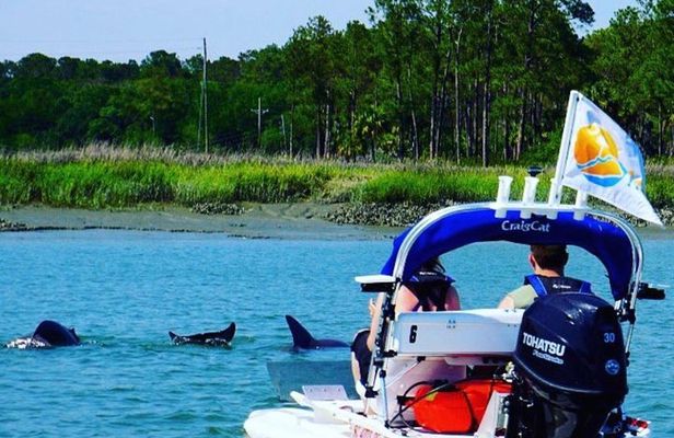 Hilton Head Island Guided Water Tour by Creek Cat Boat