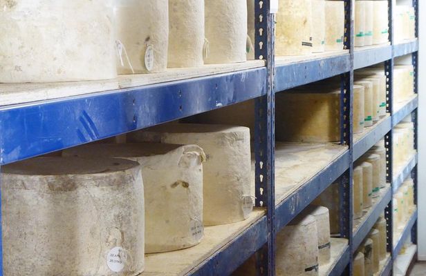 Wells, Cheddar Cheese and Cheddar Gorge - Private Day Trip from Bath