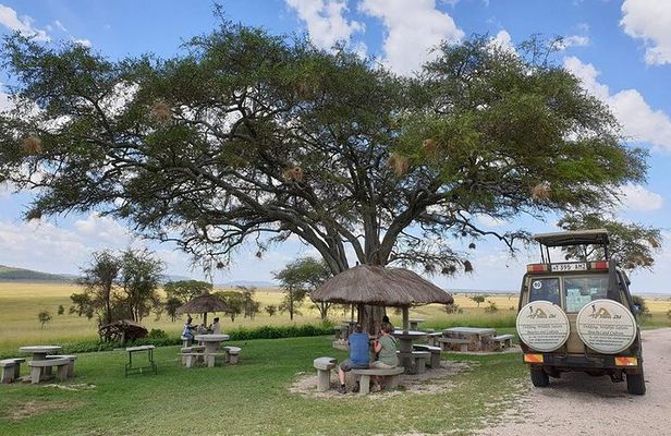 3 Days Tanzania Lodge Safari
