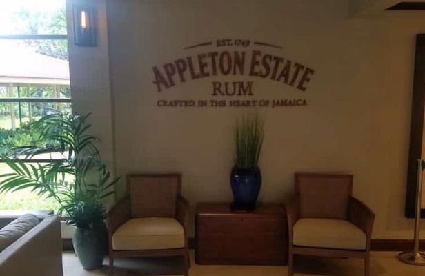 YS Falls and Appleton Estate Private Rum Tour 