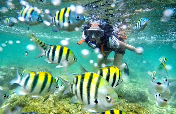 Yogyakarta Nglambor Beach Snorkeling Tour with Private Transport