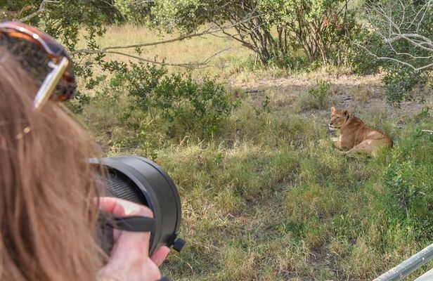 Ol Pejeta, Sweet Waters Chimpanzee Sanctuary and lion tracking safari