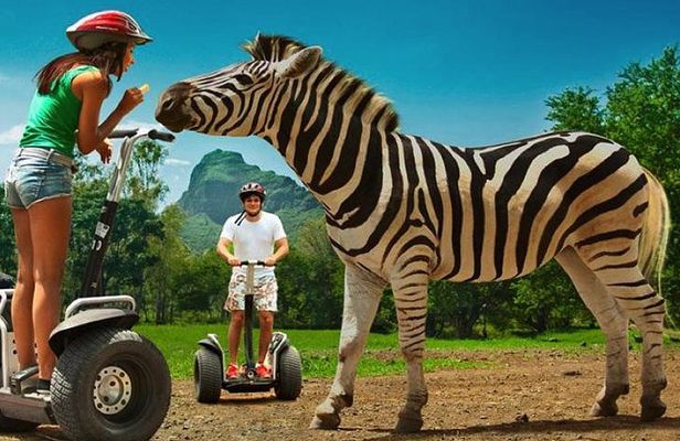 Enchanting South of Mauritius: Full-day tour Incl CASELA Park, Lunch & Transfer