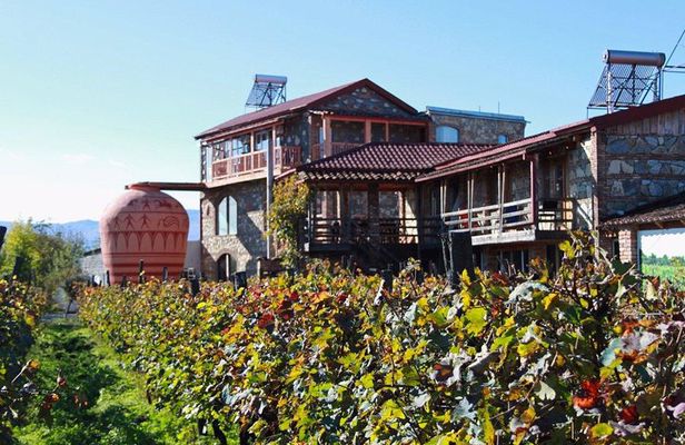 Kakheti Wine Tour and Sightseeing