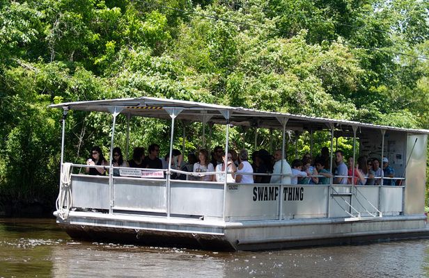 Manchac Swamp Boat Tour with Shuttle Service from New Orleans
