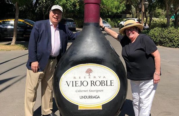 Half-Day Small Group Undurraga Vineyard Tour - Winetasting Included