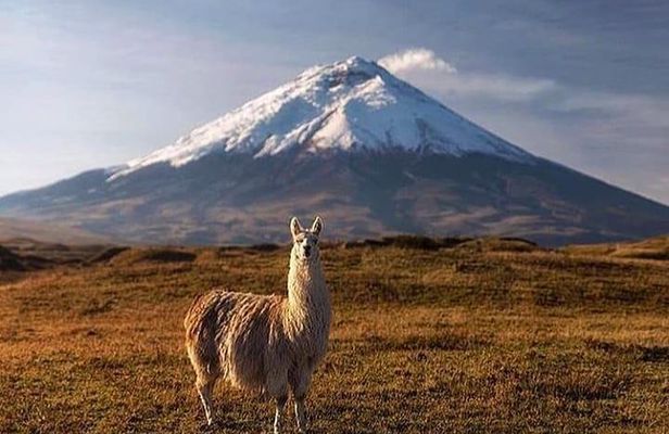 Discover Cotopaxi: All Inclusive Hiking Tour