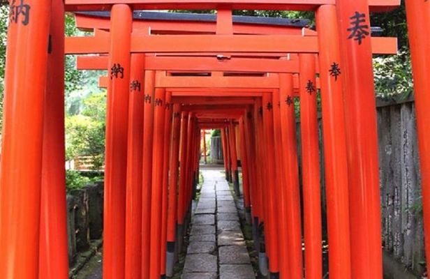 Tokyo Private Tour to Learn History and Shinto