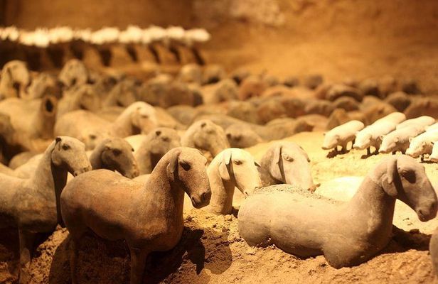 Private Xi'an Tour: Terracotta Warriors, Hanyangling Museum, Cave Homes