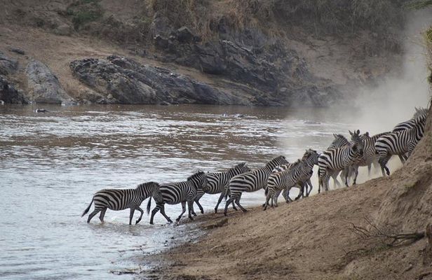 3 Days Serengeti National Park from Zanzibar