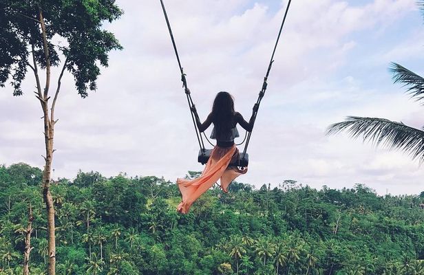 Private Bali swing, waterfall instagramable tour