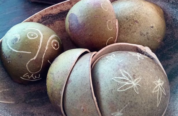 Craft Your Own wooden Bowl : in 1.5 hours from a calabash fruit!