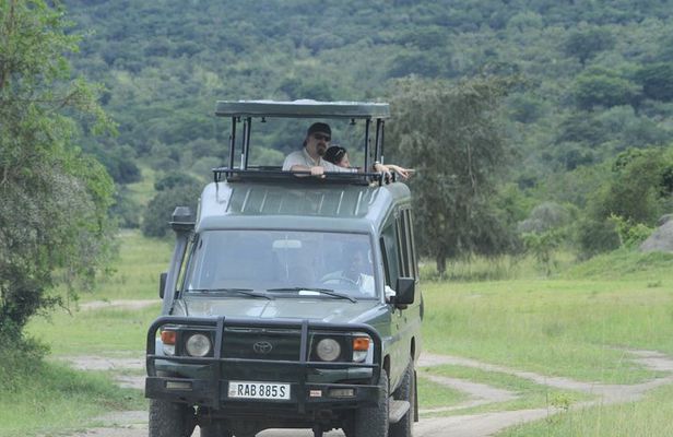 1 Day Akagera Wildlife Safaris Rwanda (2 Pax Min)