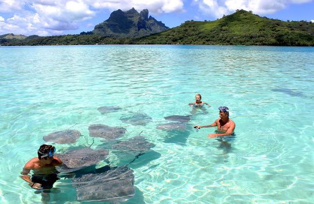 Private Bora Bora Lagoon Experience