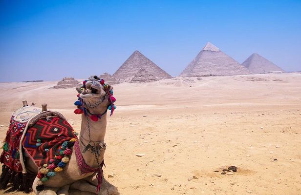 Tour to Pyramids & The Egyptian Museum