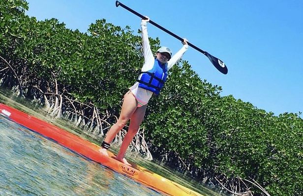 Mangroves Stand-Up Paddleboard Tour