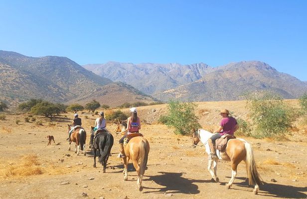 Horse Riding Tour in the Andes Santiago Chile