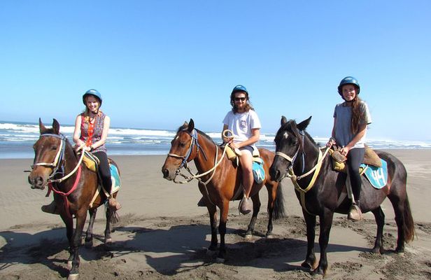 Viña del Mar and Valparaiso Private Tour Including Horseriding