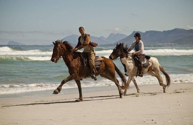 Beach Ride - Stanford