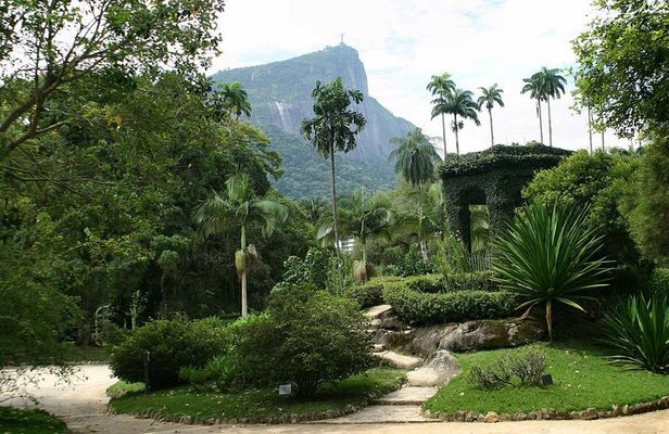 Rio de Janeiro Botanical Garden Tour