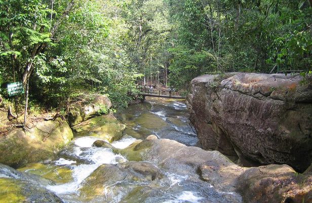 Presidente Figueiredo Waterfalls Day Trip from Manaus