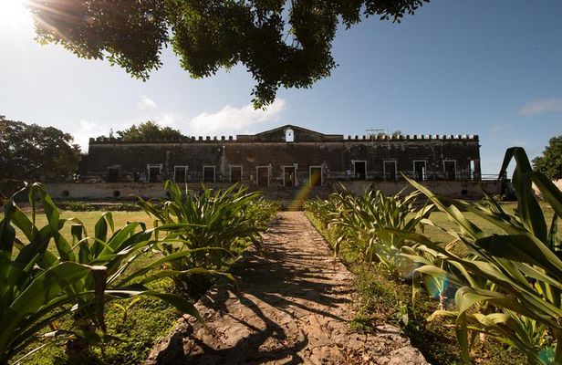 Yaxcopoil Hacienda, Uxmal & Cenote from Merida