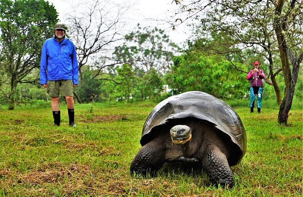 10-Day Galapagos and Amazon Quest