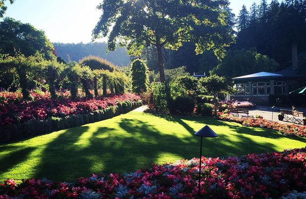 COMBO Victoria City Tour & Butchart Gardens & Entry Tix