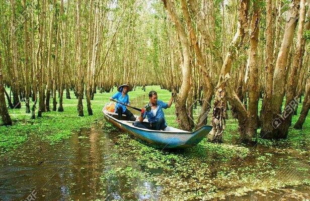 Mekong Delta from Cai Mep Thi Vai port of Phu My Cruise Harbor