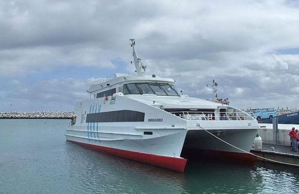 Cape Town Private, Robben Island and Cape point Tour