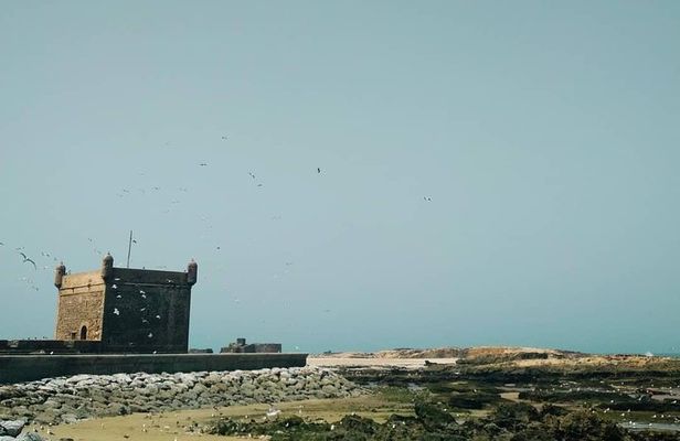 Day trip to Essaouira from Marrakech