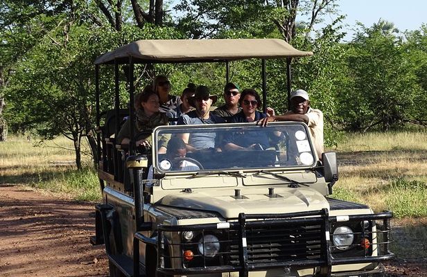 Game Drive & Rhino Safari Exp - up to 3 hrs long - MIN 2 PEOPLE