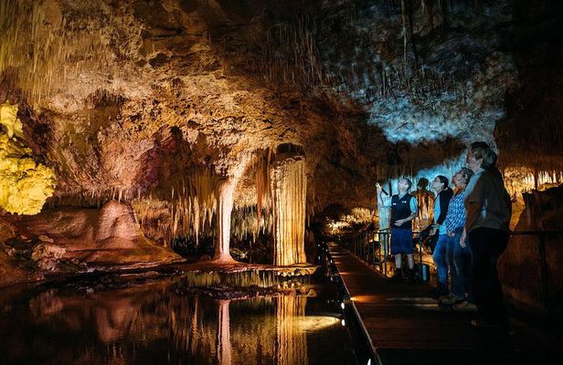 Margaret River Indulge and Discover Day Tour