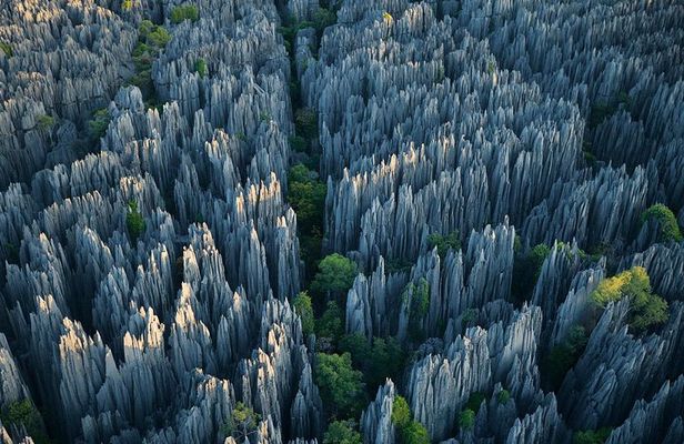 1 Day Stone Forest & Jiuxiang Cave Tour