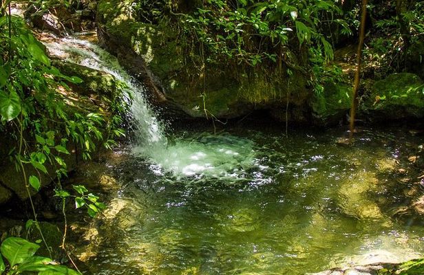 Azul Meambar National Park Day Tour From San Pedro Sula