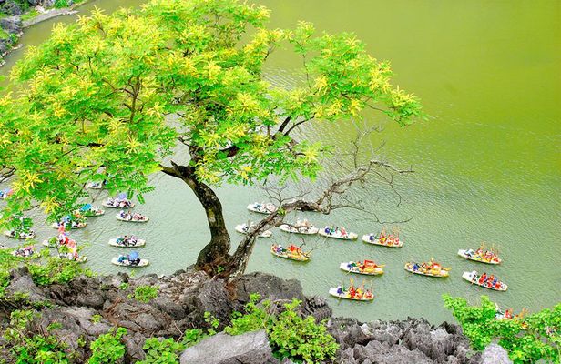 Best Service - Hoa Lu -Trang An - Mua Cave Limousine - All Inclusive