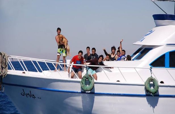 5-Day Tour around Cairo, Luxor,Alexandria and Red sea