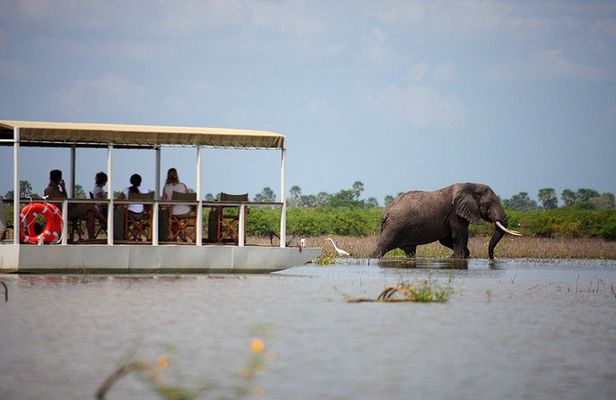 A Day Trip To Selous Fly From Zanzibar