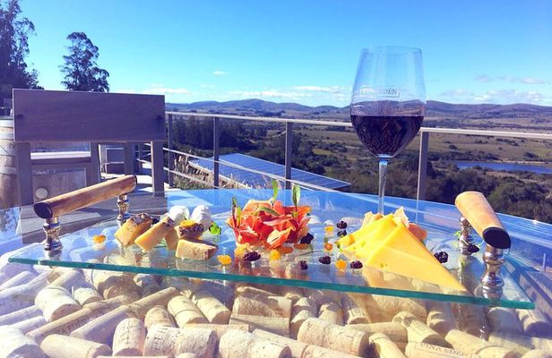 Premium Tasting Viña Edén