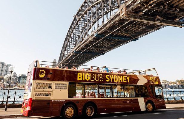 Big Bus Sydney and Bondi Hop-on Hop-off Tour