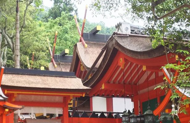 Relax in Nara: Deer Park, Todai-ji Temple and Merchants' Town