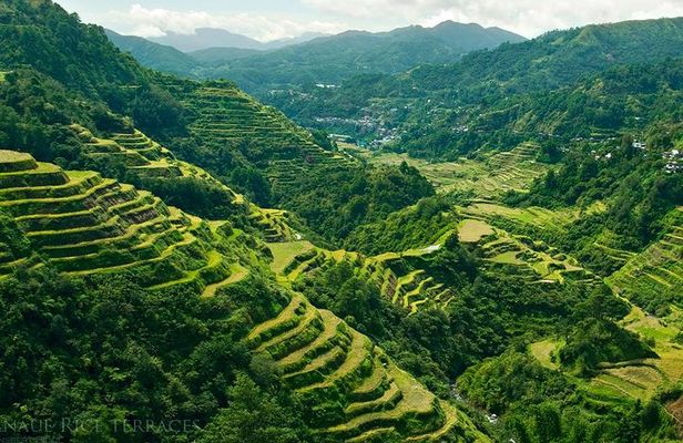 Banaue & Batad UNESCO 3days 2 nights Tour ( Private Group Tour Max 6 Travelers)