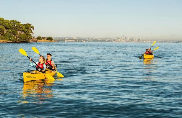 Motukorea / Browns Island Sea Kayak Journey