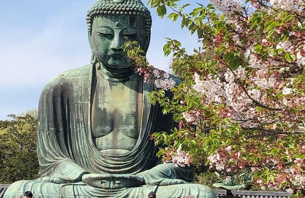 Historic Kamakura: Temples, Shrines and Street Food Private Walking Tour
