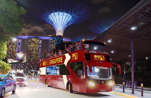 Big Bus Singapore Night Tour with Gardens by the Bay Light Show