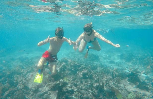Catalina Island - Full Day All Inclusive Experience